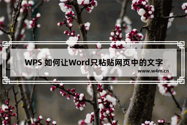 WPS 如何让Word只粘贴网页中的文字而自动去除图形和版式