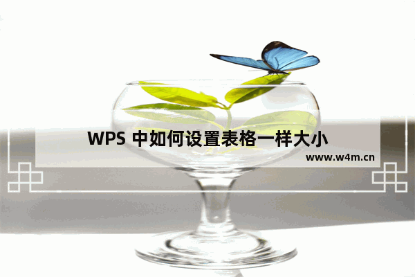 WPS 中如何设置表格一样大小