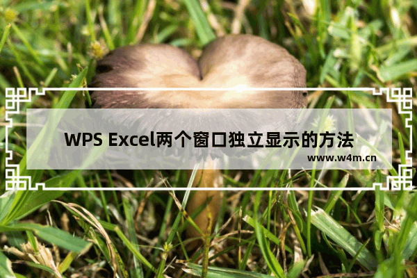 WPS Excel两个窗口独立显示的方法