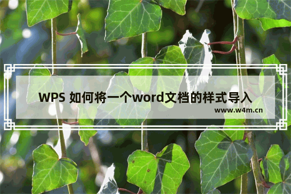 WPS 如何将一个word文档的样式导入其它文档