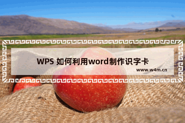 WPS 如何利用word制作识字卡