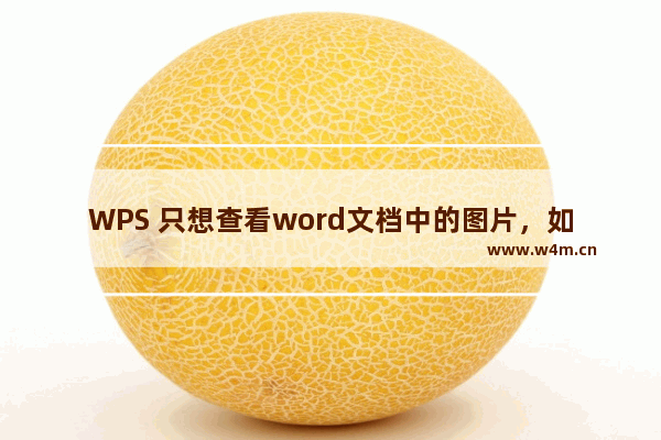 WPS 只想查看word文档中的图片，如何快速定位