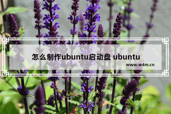 怎么制作ubuntu启动盘 ubuntu1804启动盘制作