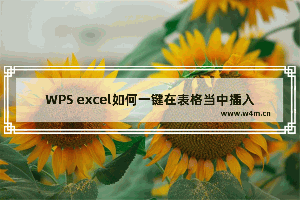 WPS excel如何一键在表格当中插入课程表