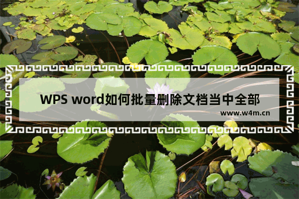 WPS word如何批量删除文档当中全部英文