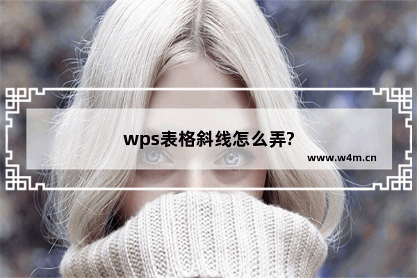 wps表格斜线怎么弄?