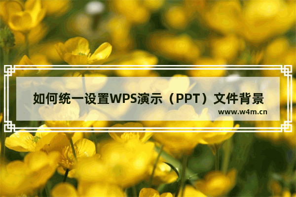 如何统一设置WPS演示（PPT）文件背景？