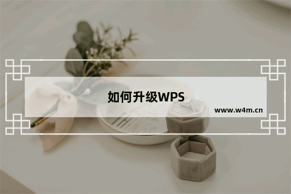 如何升级WPS