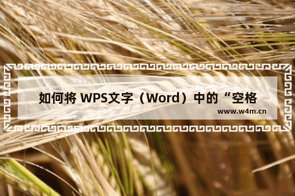 如何将 WPS文字（Word）中的“空格”替换为“另起一行”？