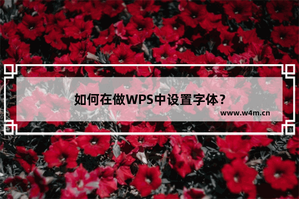 如何在做WPS中设置字体？