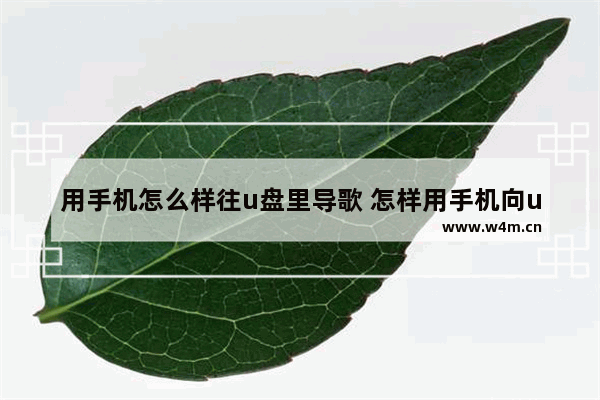 用手机怎么样往u盘里导歌 怎样用手机向u盘传歌