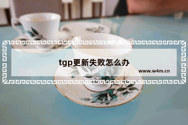 tgp更新失败怎么办