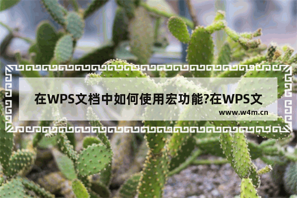 在WPS文档中如何使用宏功能?在WPS文档中宏功能的方法教程