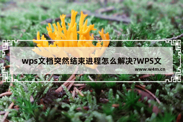 wps文档突然结束进程怎么解决?WPS文档突然结束进程的解决方法