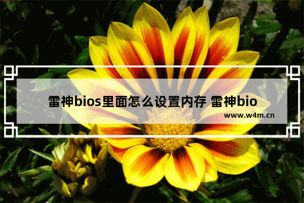 雷神bios里面怎么设置内存 雷神bios界面怎么调成中文的