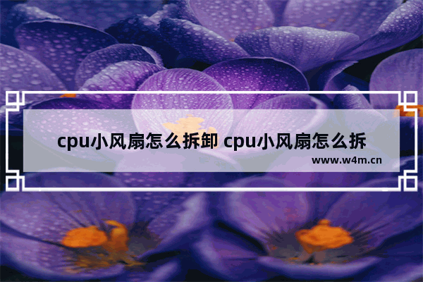 cpu小风扇怎么拆卸 cpu小风扇怎么拆卸下来