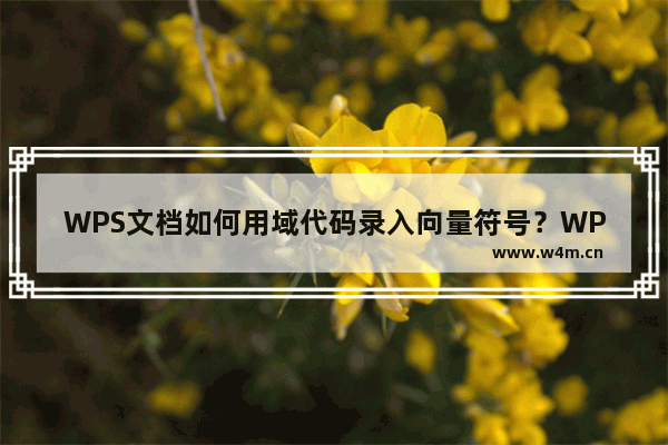 WPS文档如何用域代码录入向量符号？WPS用域代码录入向量符号的方法教程