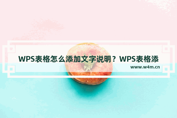 WPS表格怎么添加文字说明？WPS表格添加文字说明的方法技巧