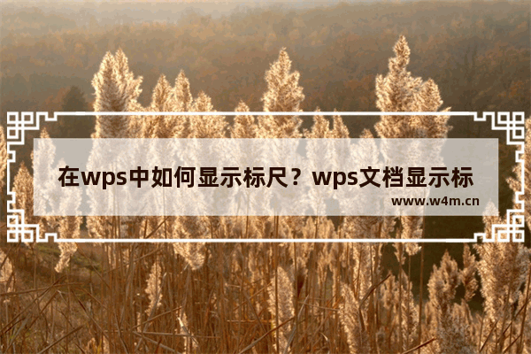 在wps中如何显示标尺？wps文档显示标尺的设置方法