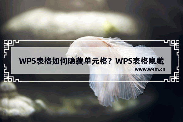 WPS表格如何隐藏单元格？WPS表格隐藏单元格方法教程