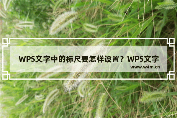 WPS文字中的标尺要怎样设置？WPS文字中设置标尺的方法技巧