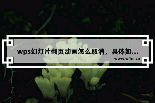 wps幻灯片翻页动画怎么取消，具体如何设置