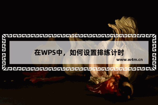 在WPS中，如何设置排练计时