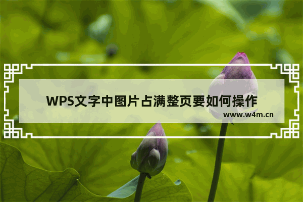 WPS文字中图片占满整页要如何操作