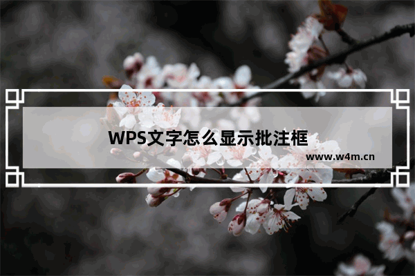 WPS文字怎么显示批注框