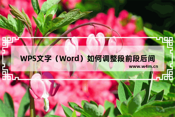 WPS文字（Word）如何调整段前段后间距？