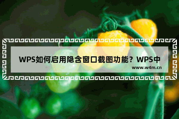 WPS如何启用隐含窗口截图功能？WPS中隐含窗口截图功能怎么使用？