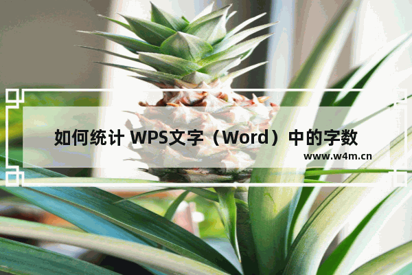 如何统计 WPS文字（Word）中的字数？