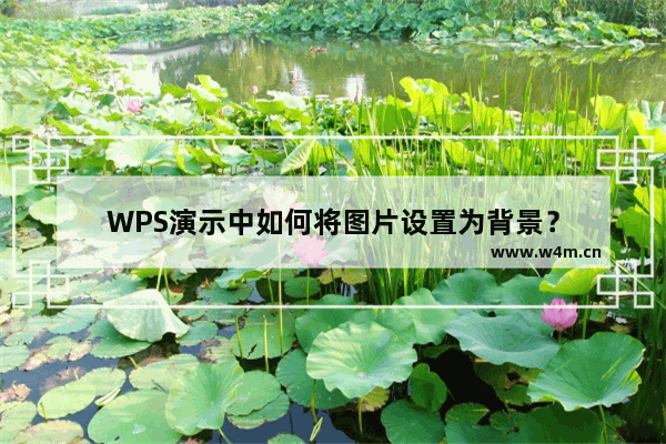 WPS演示中如何将图片设置为背景？