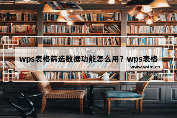 wps表格筛选数据功能怎么用？wps表格筛选数据功能的使用方法