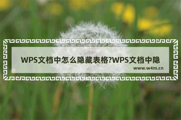 WPS文档中怎么隐藏表格?WPS文档中隐藏表格的方法教程