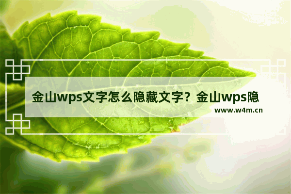 金山wps文字怎么隐藏文字？金山wps隐藏文字操作的方法教程