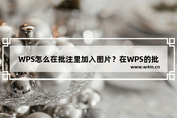 WPS怎么在批注里加入图片？在WPS的批注中添加图片的方法教程