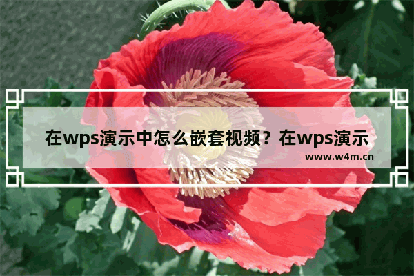 在wps演示中怎么嵌套视频？在wps演示中嵌套视频的方法教程