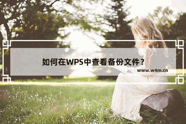 如何在WPS中查看备份文件？