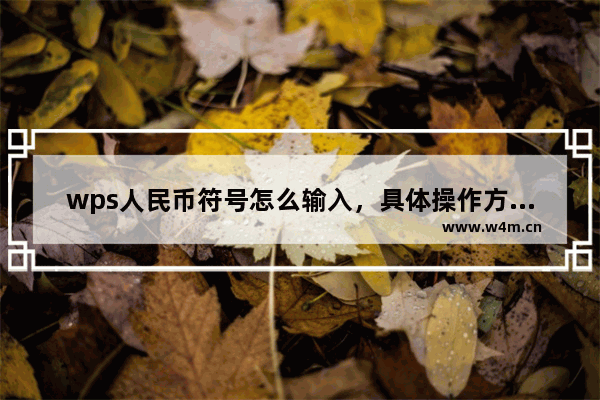 wps人民币符号怎么输入，具体操作方法是什么