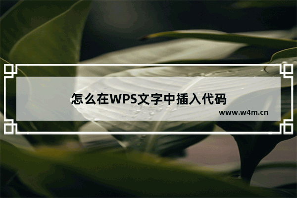 怎么在WPS文字中插入代码