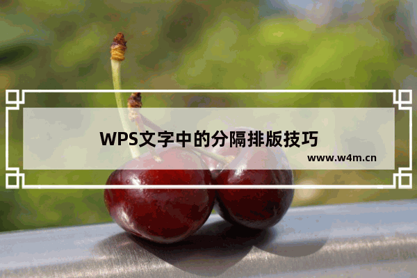 WPS文字中的分隔排版技巧