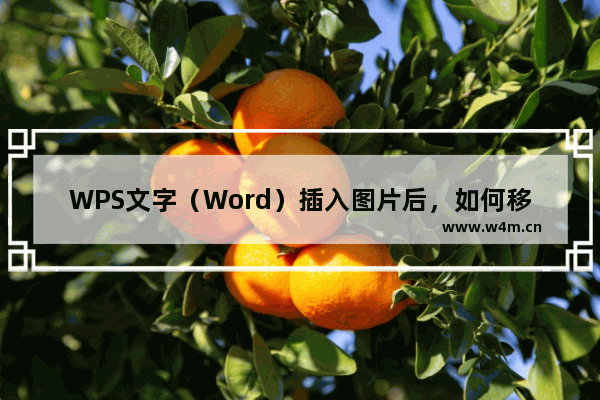 WPS文字（Word）插入图片后，如何移动图片？