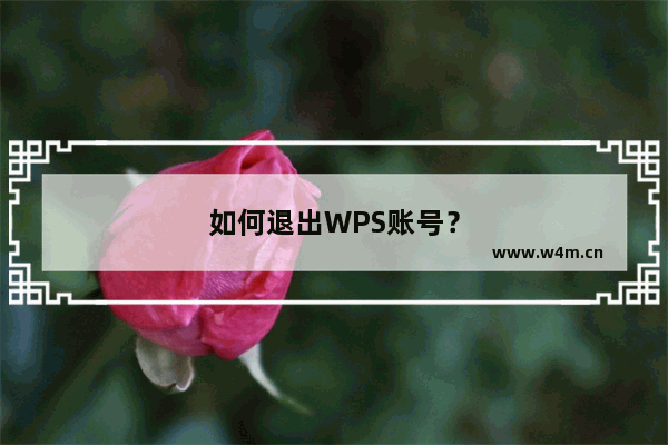 如何退出WPS账号？