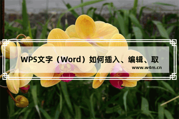 WPS文字（Word）如何插入、编辑、取消批注？