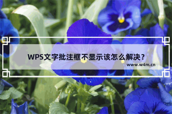 WPS文字批注框不显示该怎么解决？