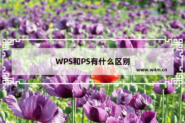 WPS和PS有什么区别