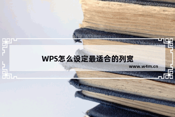 WPS怎么设定最适合的列宽