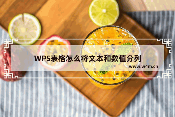 WPS表格怎么将文本和数值分列