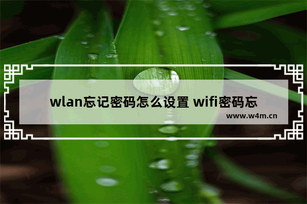 wlan忘记密码怎么设置 wifi密码忘记怎么设置密码